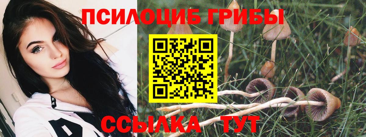 Владимир  Галлюциногенные грибы Magic Shrooms  как найти   Псилоцибиновые грибы прущие грибы  Вход с VPN 